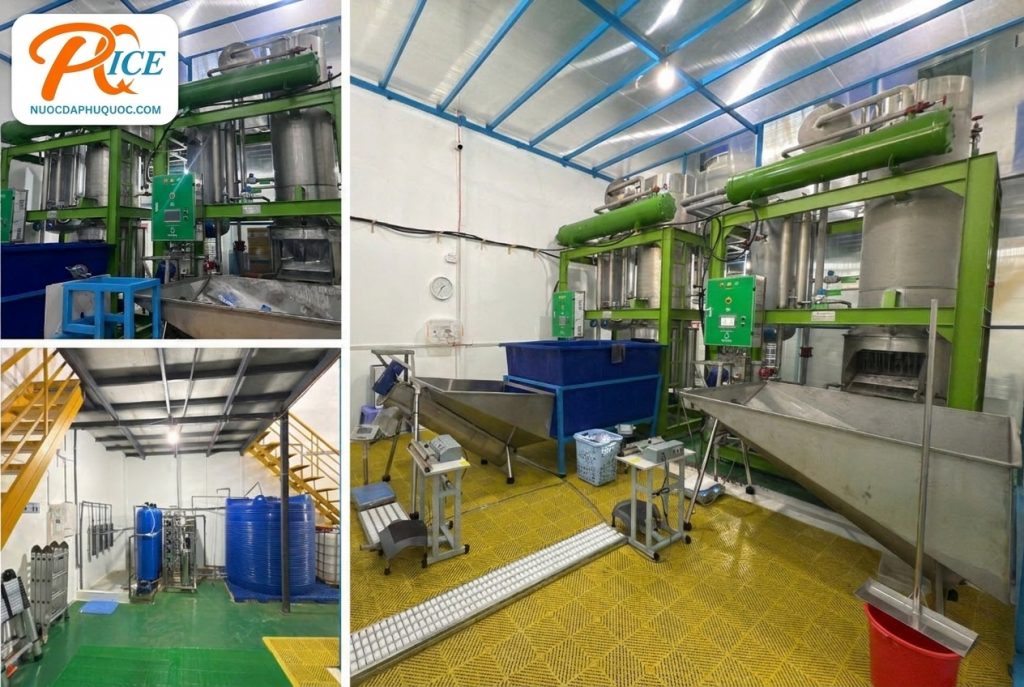 Quy Trình Sản Xuất Nước Đá Sạch PQICE Khép Kín RO & UV